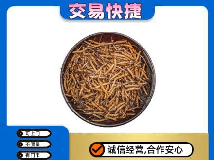 顺义区回收散虫草
